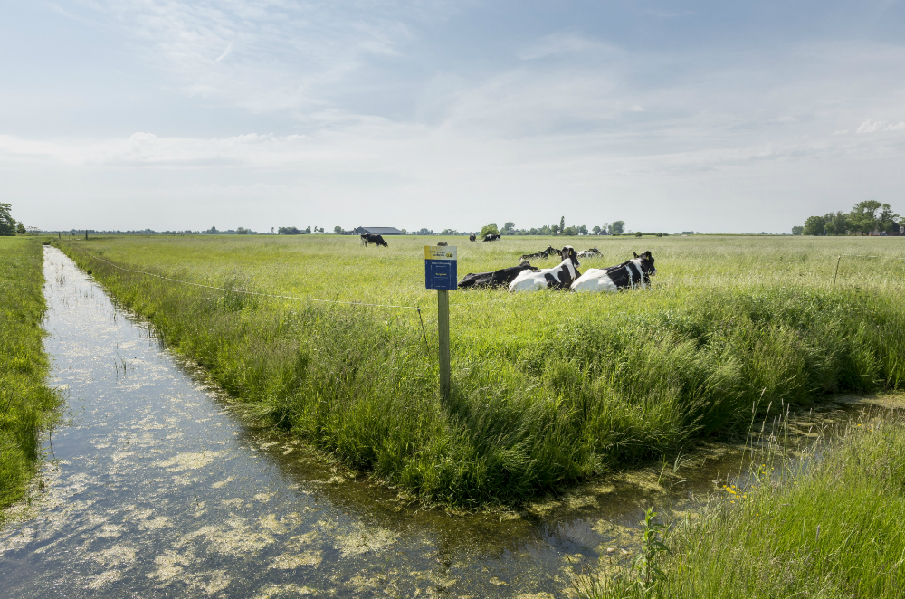 Het Groninger Landschap