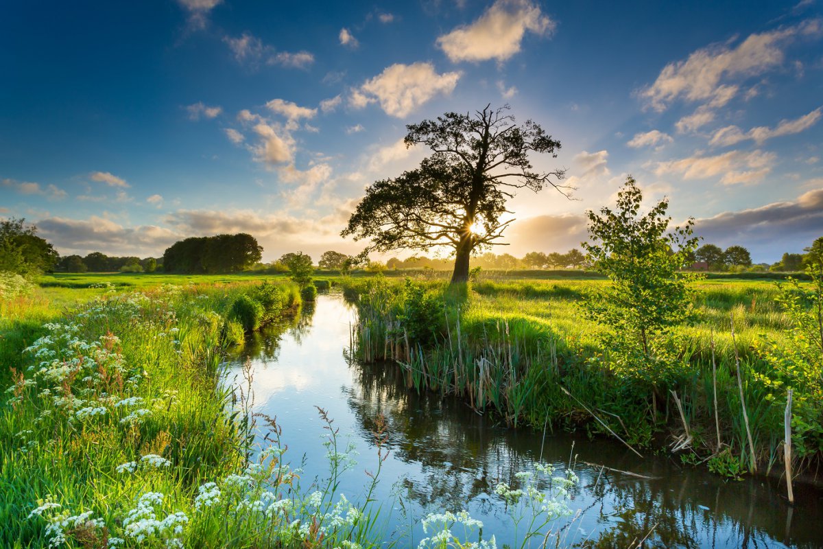 Stichting Promotie Westerwolde